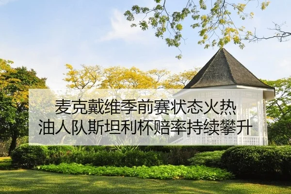 麦克戴维季前赛状态火热 油人队斯坦利杯赔率持续攀升