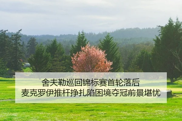 she-fu-lei-xun-hui-jin-biao-sai-shou-lun-luo-hou-mai-ke-luo-yi-tui-gan-zheng-zha-xian-kun-jing-duo-guan-qian-jing-kan-2-910.jpg