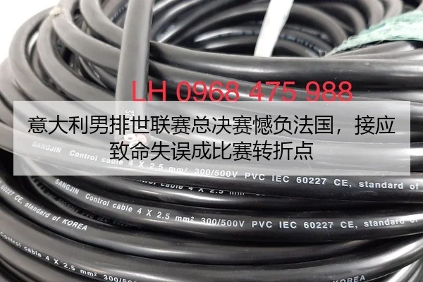 意大利男排世联赛总决赛憾负法国，接应致命失误成比赛转折点